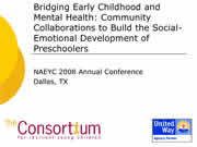 NAEYC 2008 Conference presentation